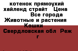 котенок прямоухий  хайленд страйт › Цена ­ 10 000 - Все города Животные и растения » Кошки   . Свердловская обл.,Реж г.